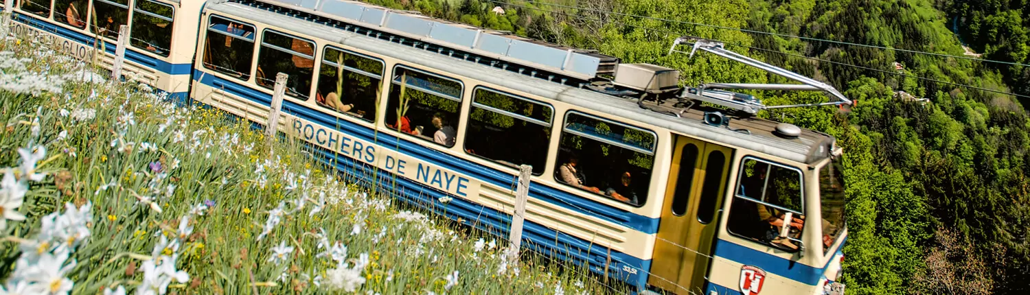 IMG-Stage-Day Discoveries Lausanne Visual