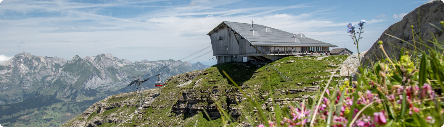 img_hero_chaeserrugg_summer