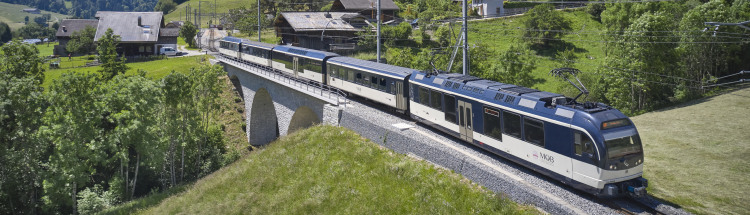 img_website_CheeseTrain_summer