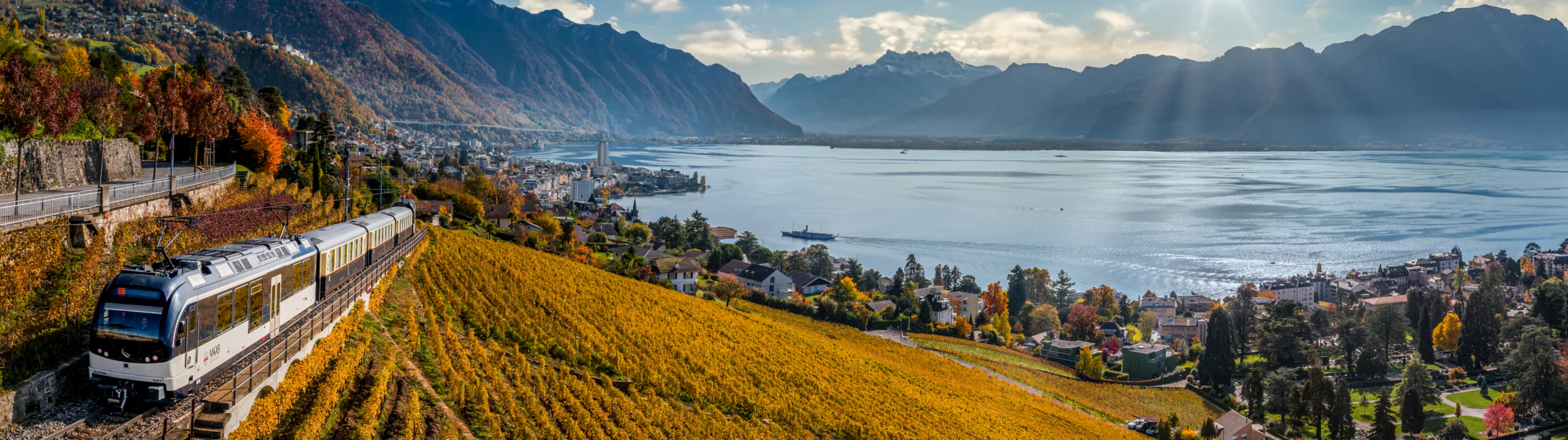 img_website_GTToS_3_MOB