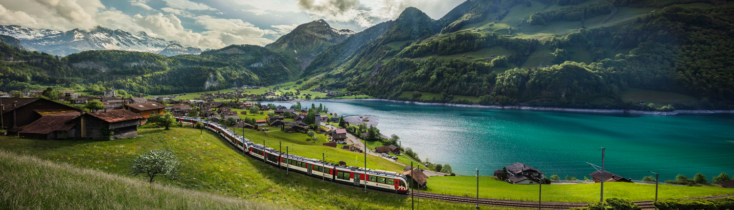 img_website_LIEX_summer