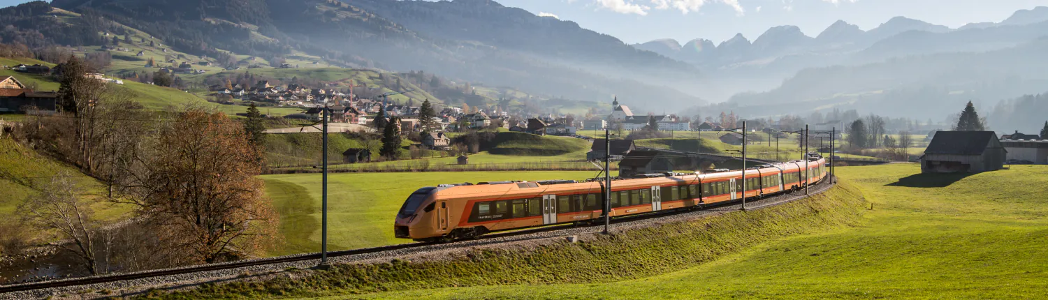 img_website_VAE_summer