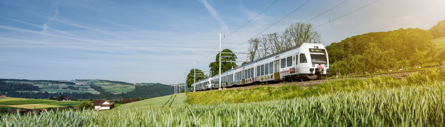 Kambly-Sommer-Header