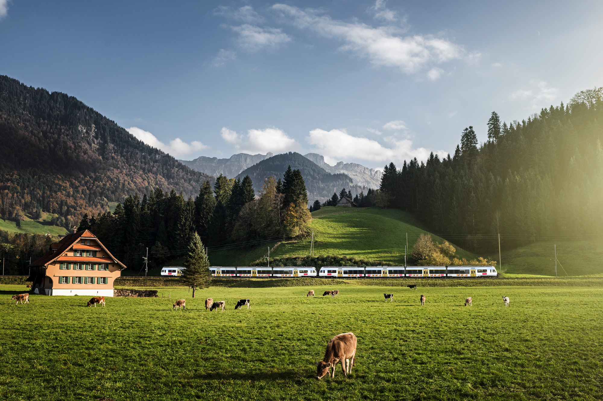 RegioExpress Kambly Train