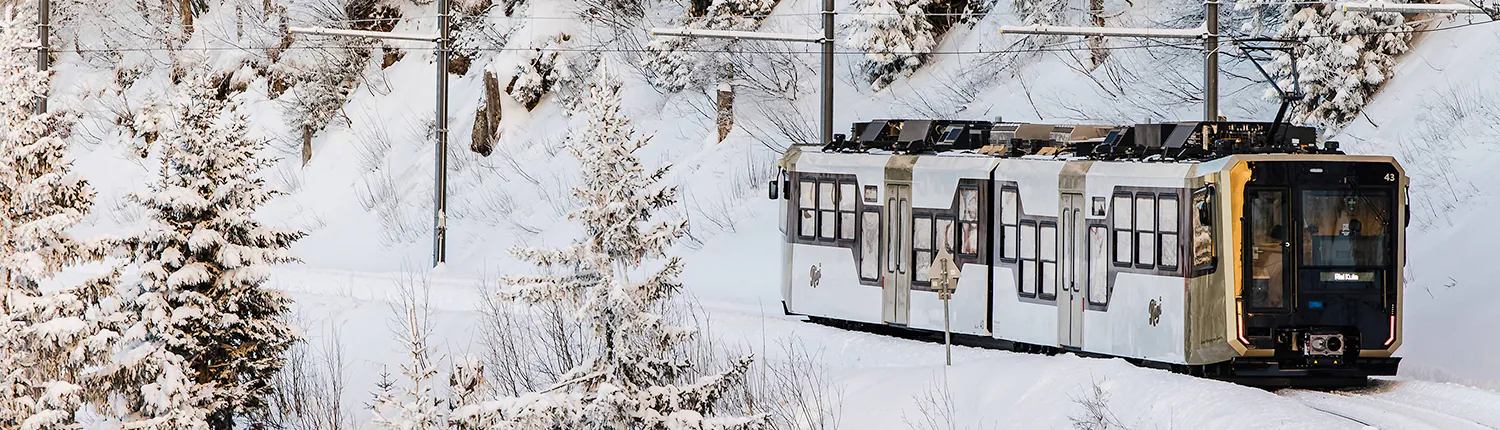 MicrosoftTeams-image (21)