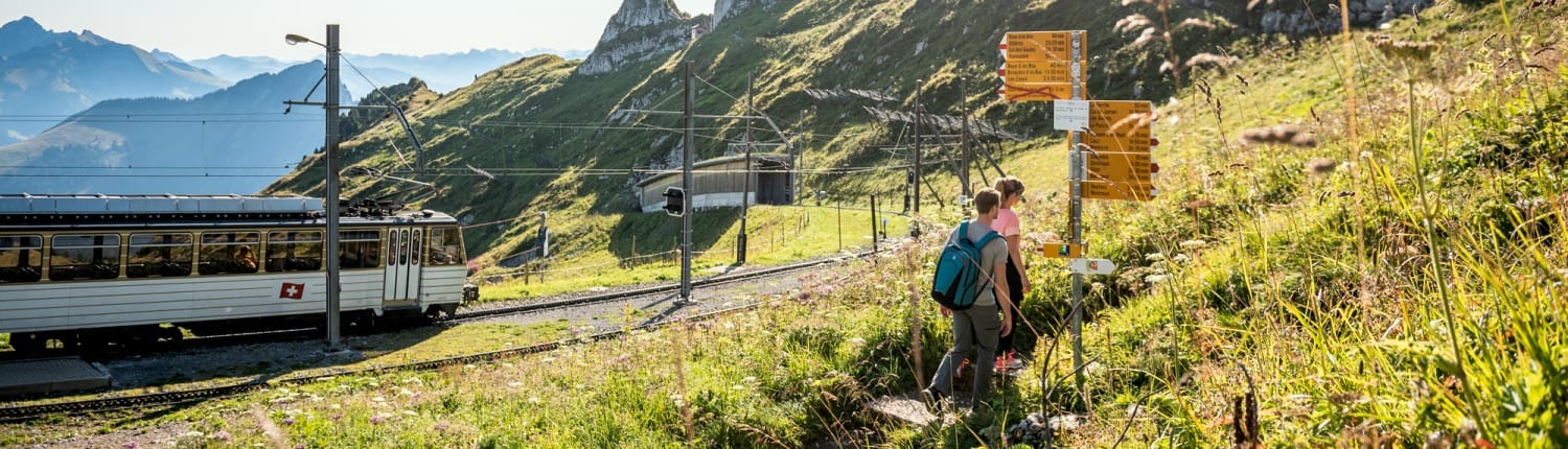 Rochers-de-Naye_92034