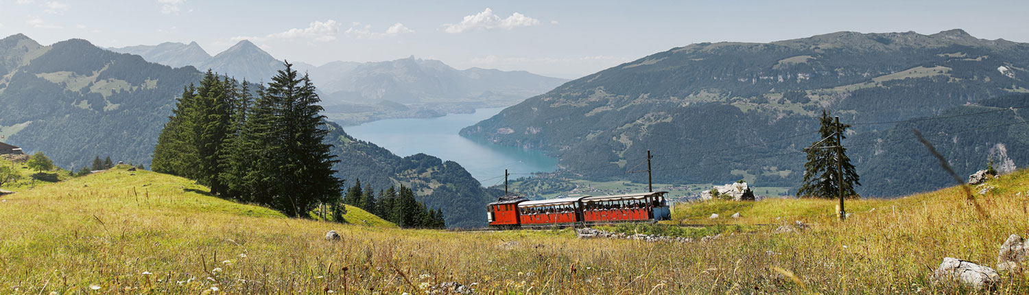 Schynige Platte Schynige Platte